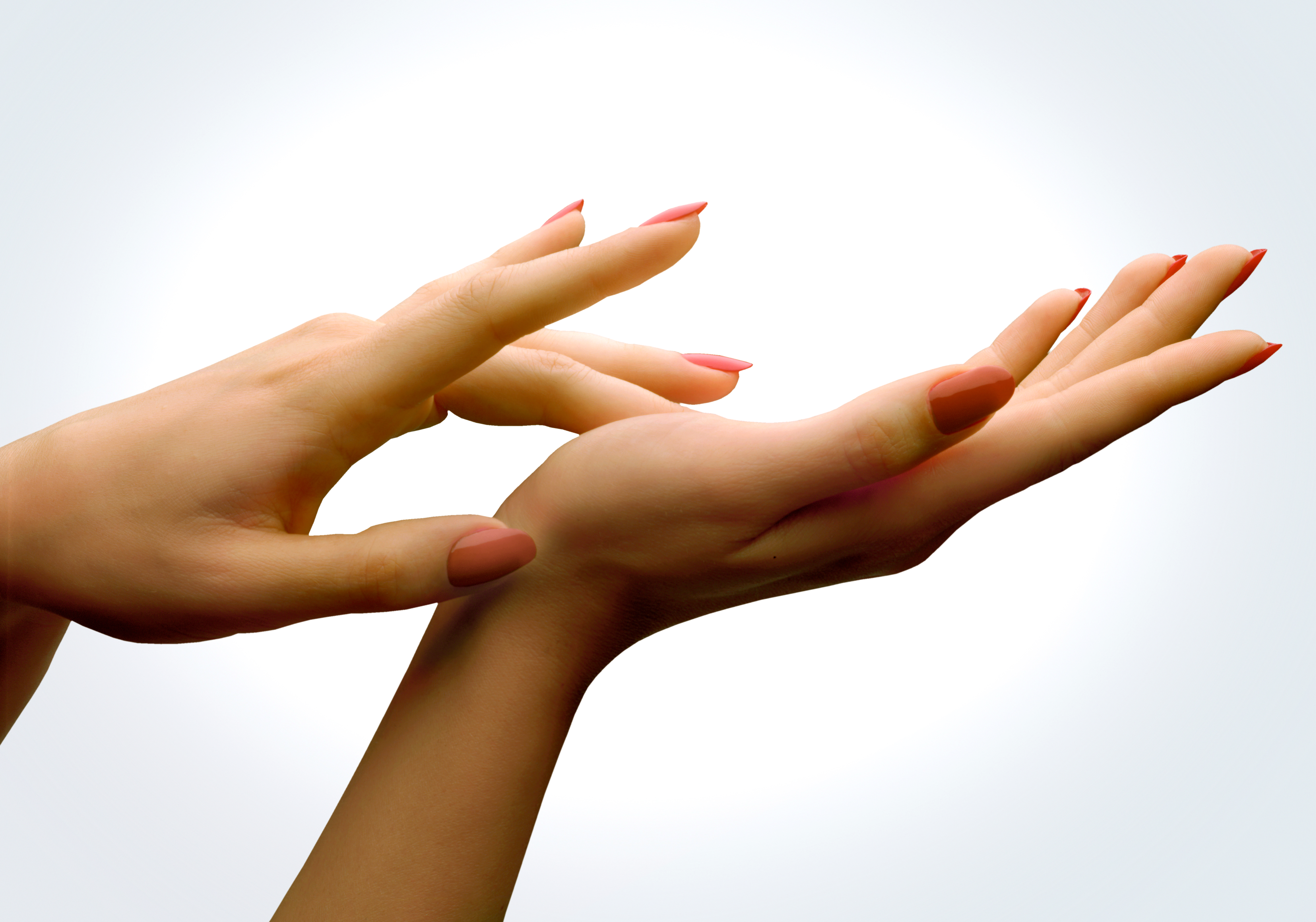 Руки мрз. Женская рука. Женская ладонь. Красивые руки. Красивые женские руки.