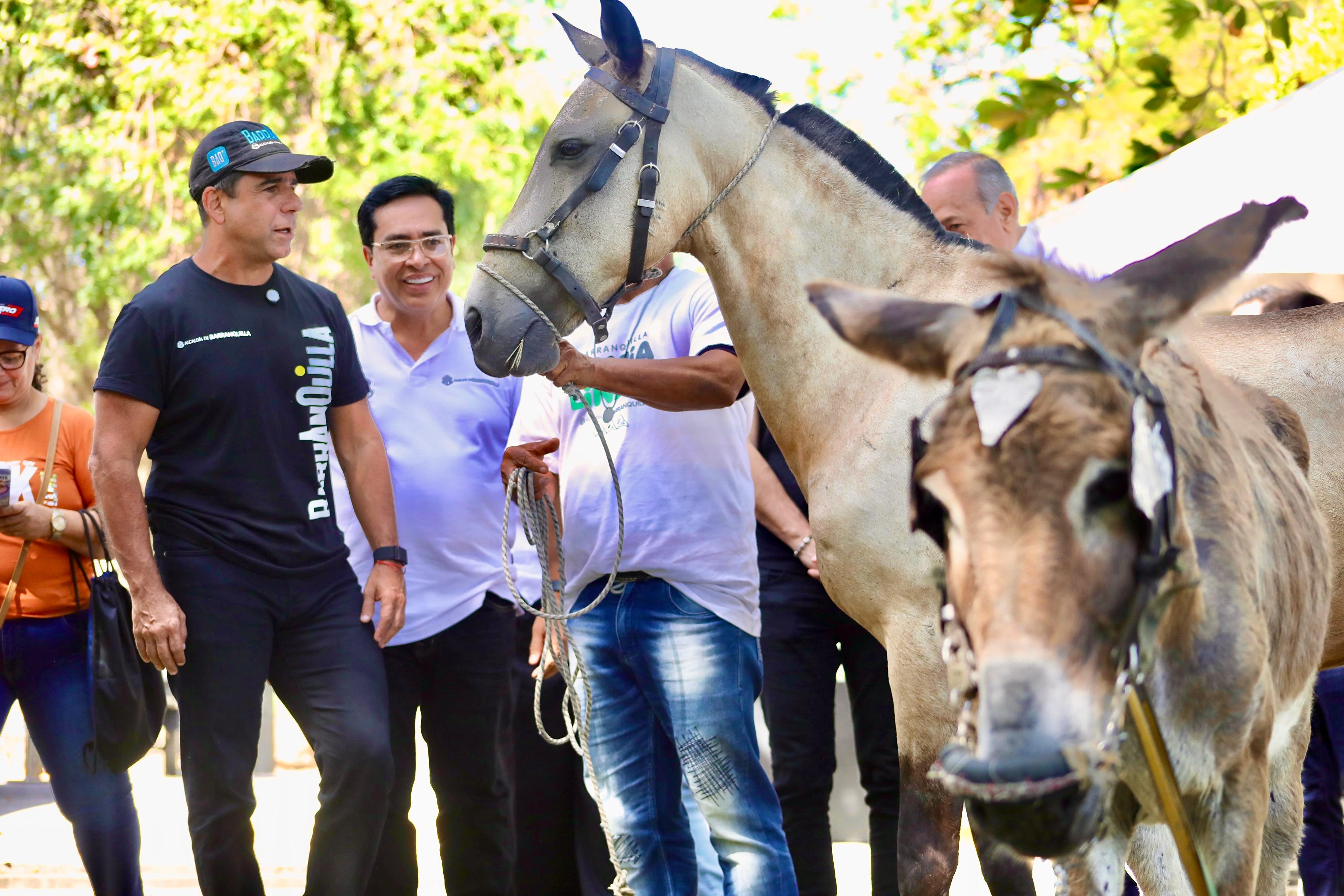 Animales rescatados.