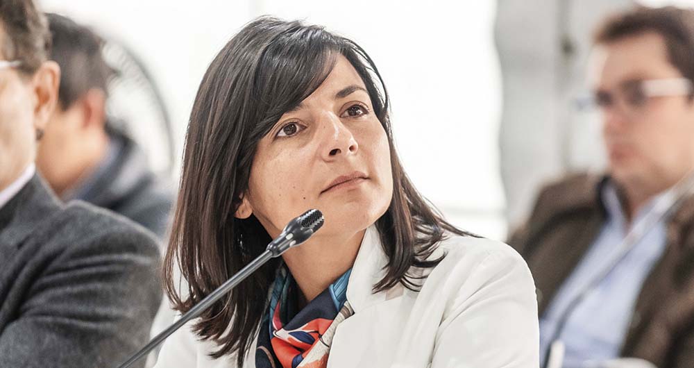 irene vélez Ministra de Minas y Energía