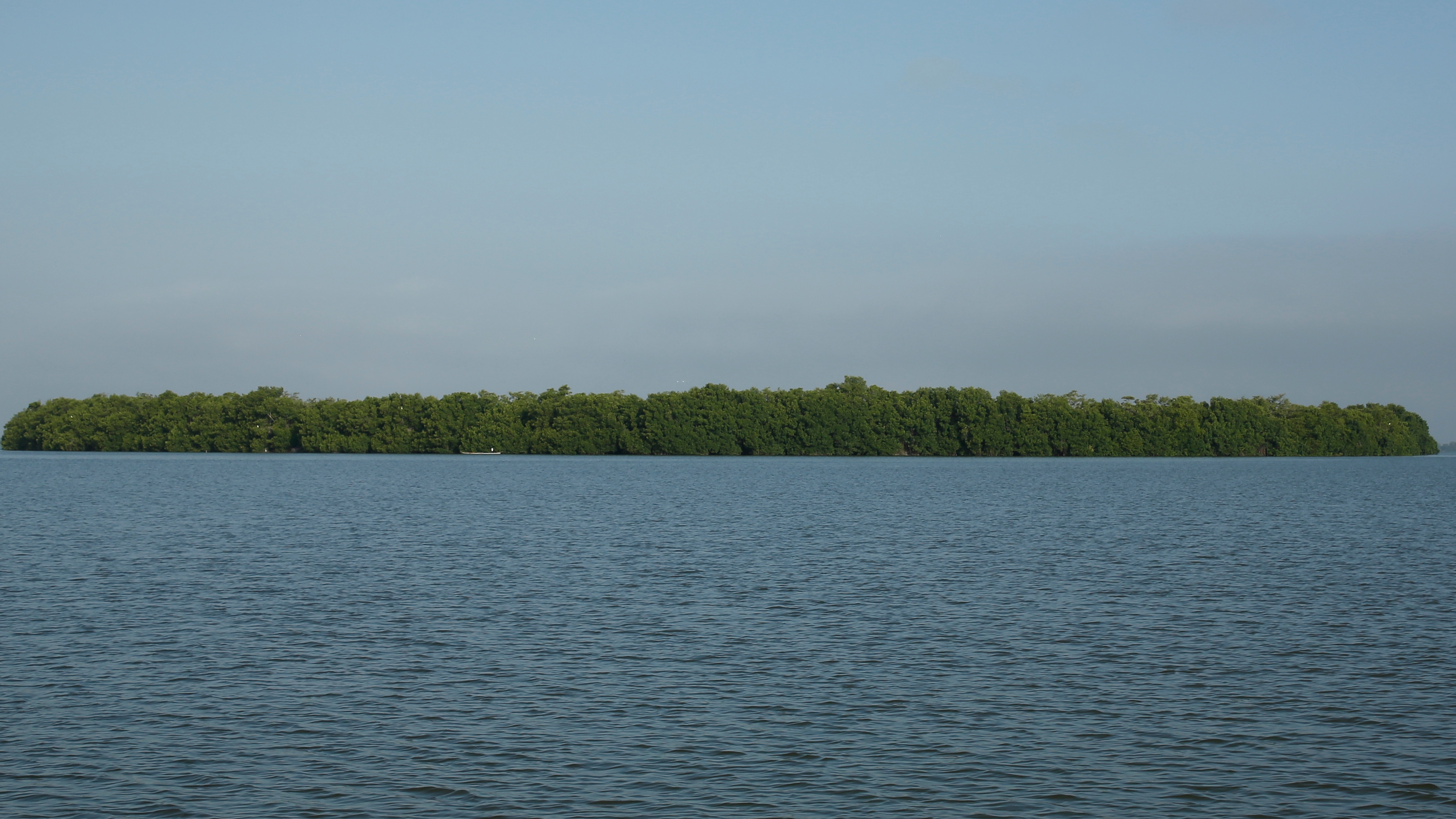 La Ciénaga Grande de Santa Marta, el lugar que escogió Smart Fit para realizar su miniserie dedicada a los aventureros.
