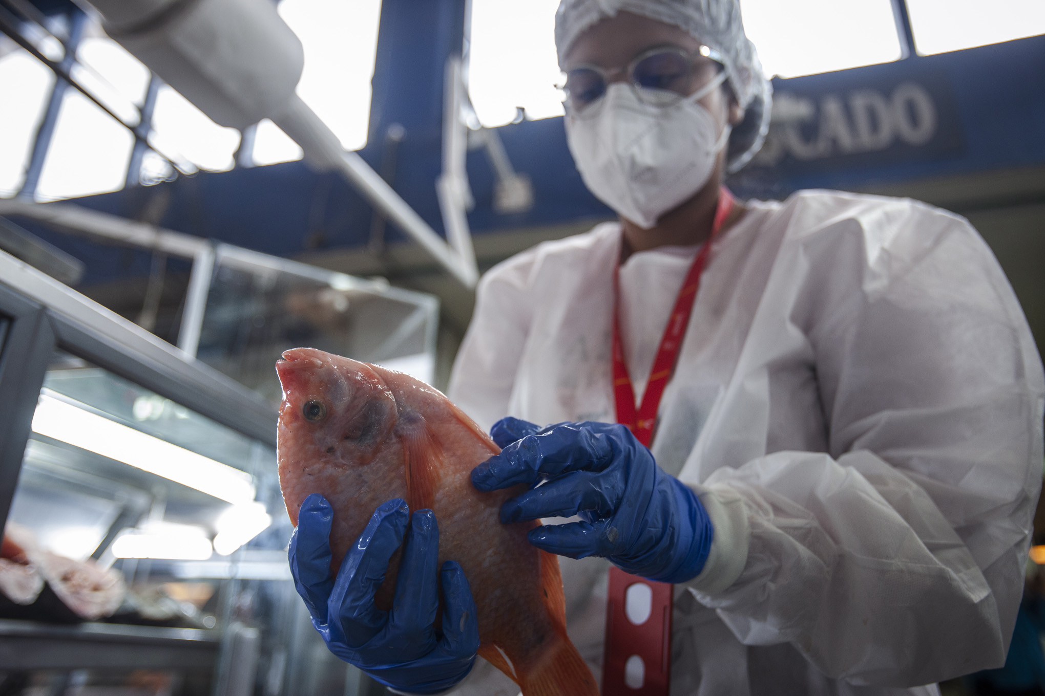 Plaza de mercado Paloquemao Bogota Protocolos de bioseguridad para semana santa 