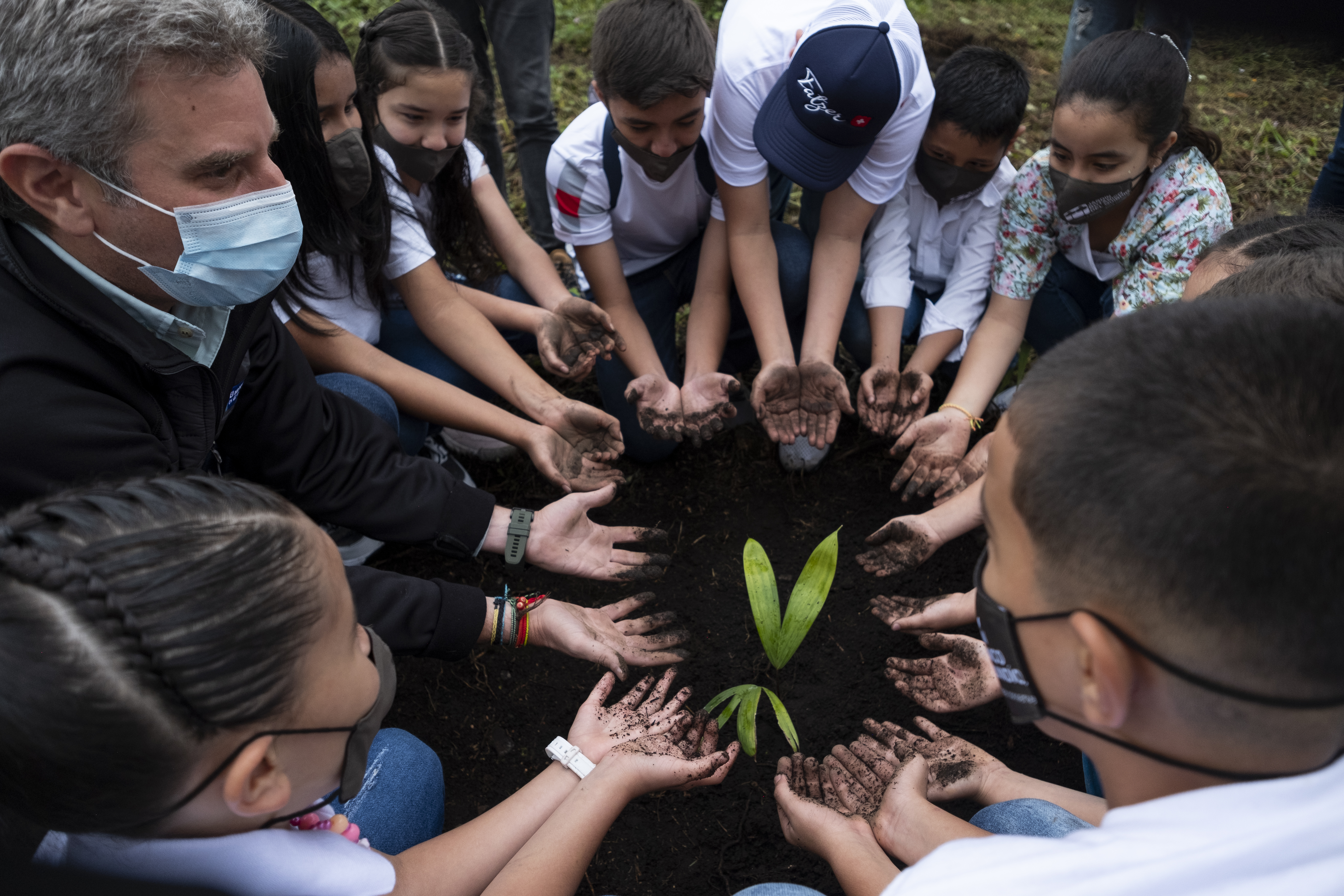 De los 54 millones de árboles sembrados hasta la fecha, el arrayán es el más común.