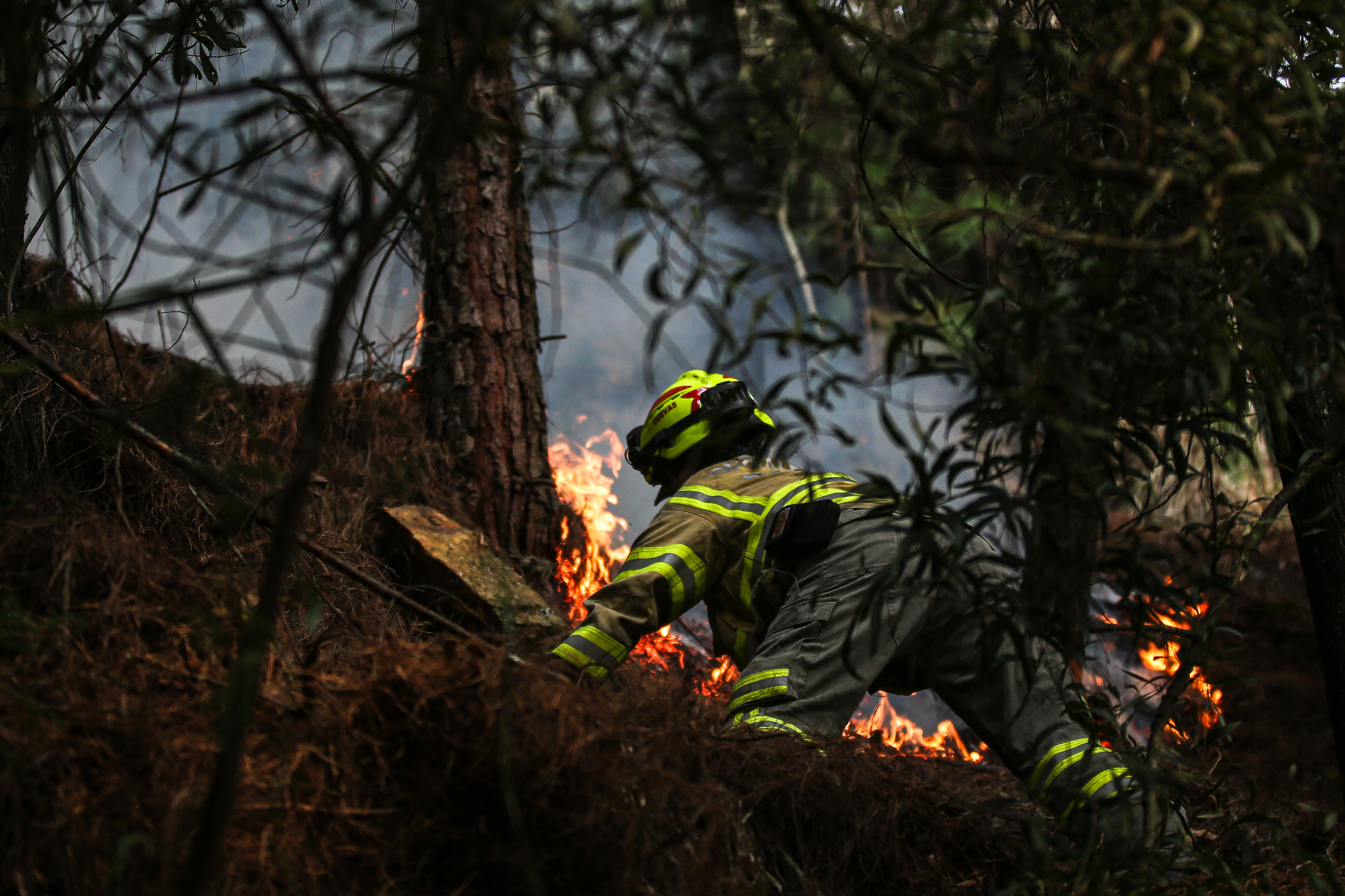Cerros Orientales
Incendios