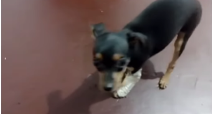 Piden ayuda para poder costear los gastos de la recuperación.