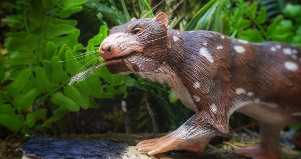 Descubren en Chile restos de nuevo mamífero de hace al menos 72 millones de años