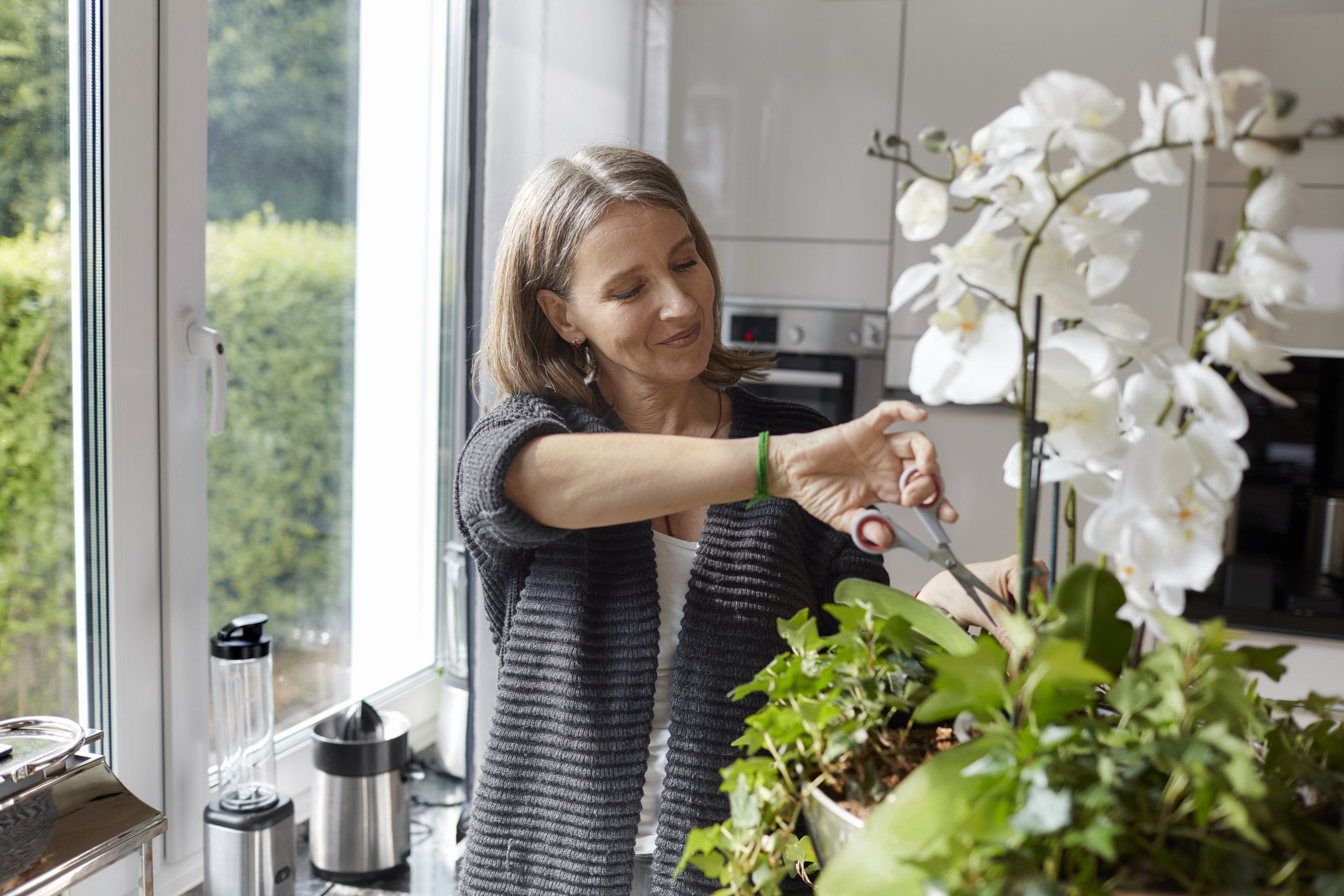 Hay unos días del mes en los que es aconsejable podar las plantas.
