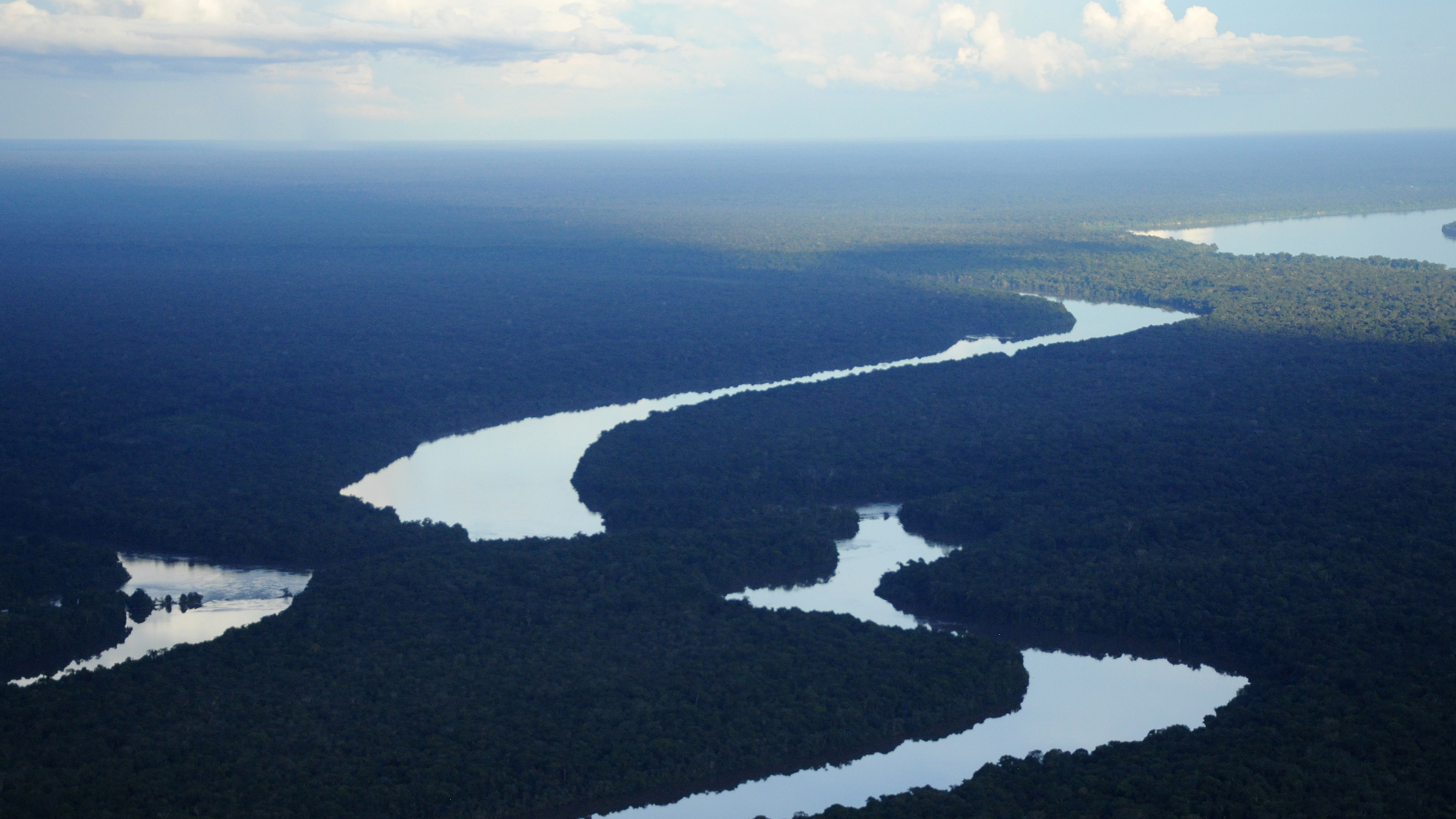 Cruzada mundial para proteger la Amazonía colombiana. ¿De qué se trata?