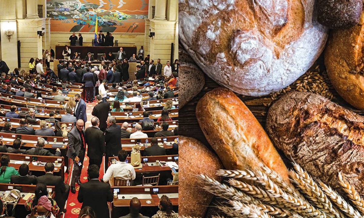 Congreso de la República - Pan