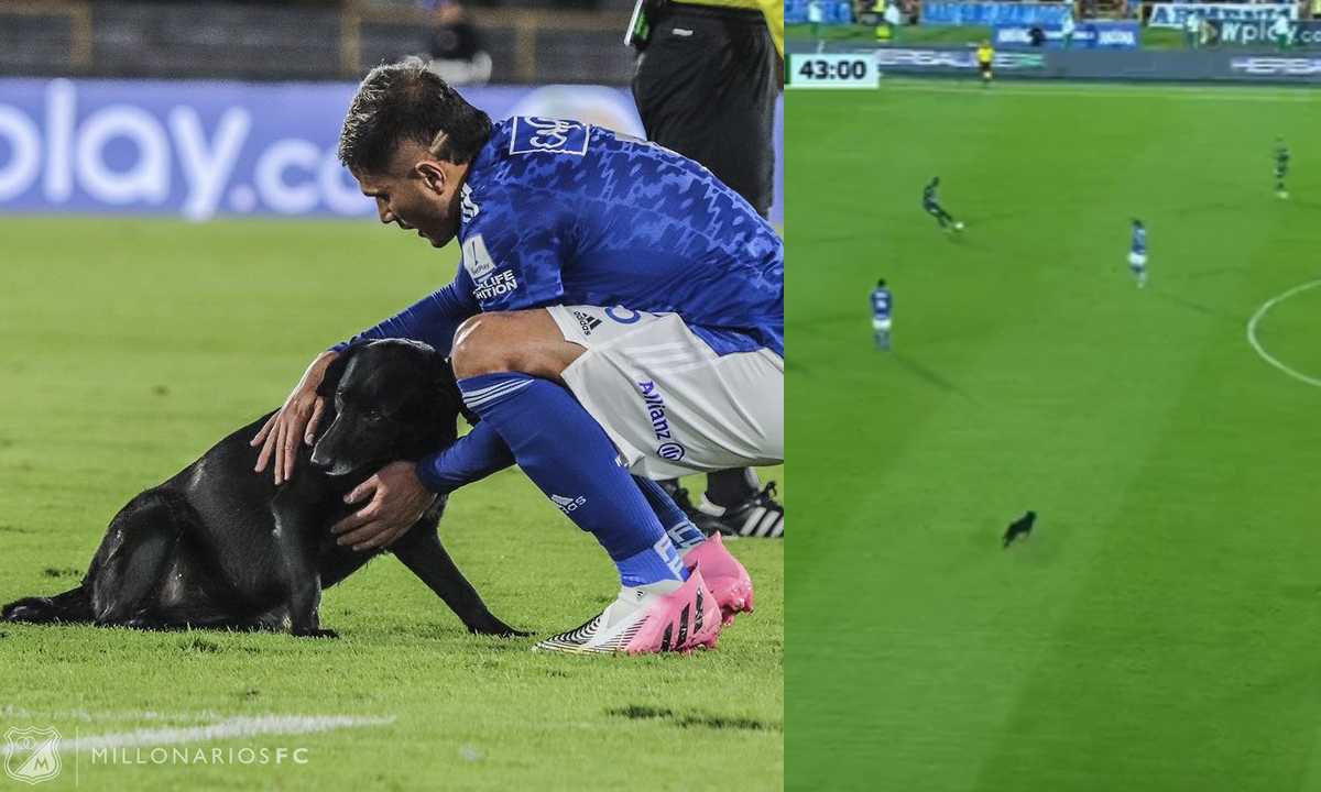 Millonarios vs. Cali - Liga BetPlay.