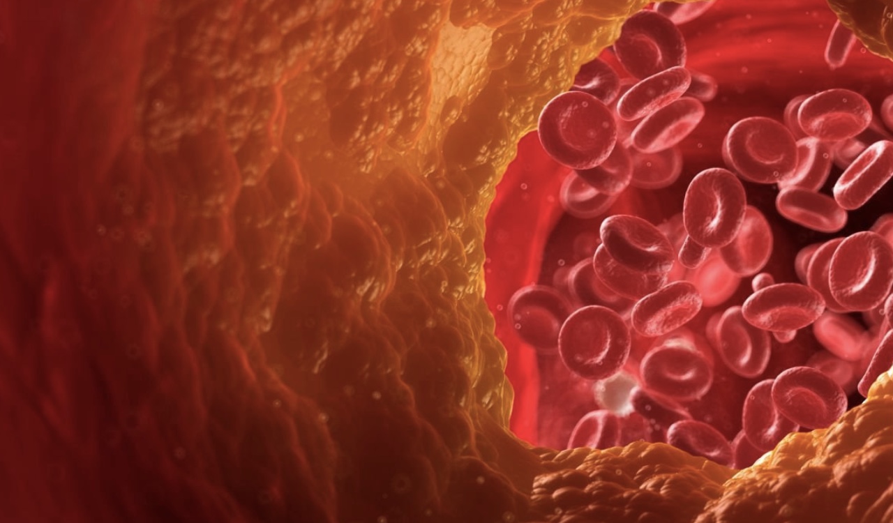 El consumo de pistacho reduciría los niveles de colesterol en la sangre.