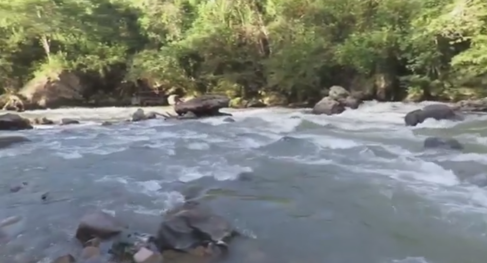 El joven presuntamente estaría bajo los efectos del alcohol.