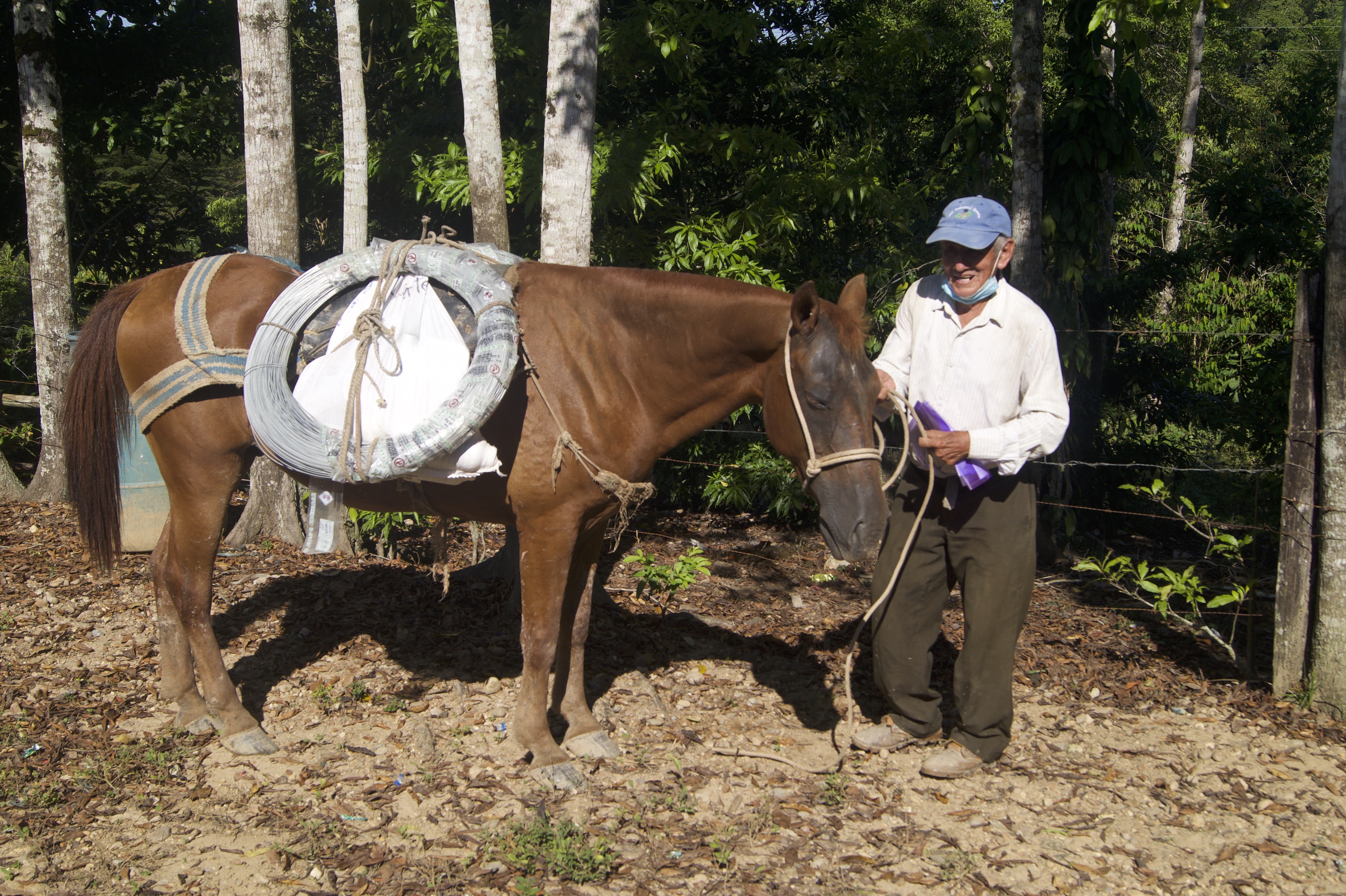 Un total de 71 pequeños productores se beneficiarán de la iniciativa.