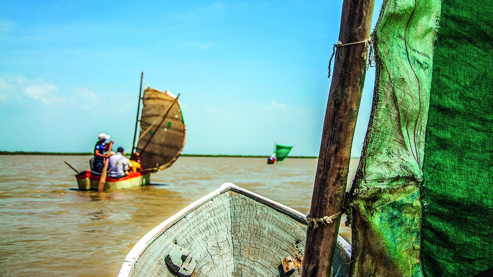 Especial Caribe, Daniel Páez, Camarones