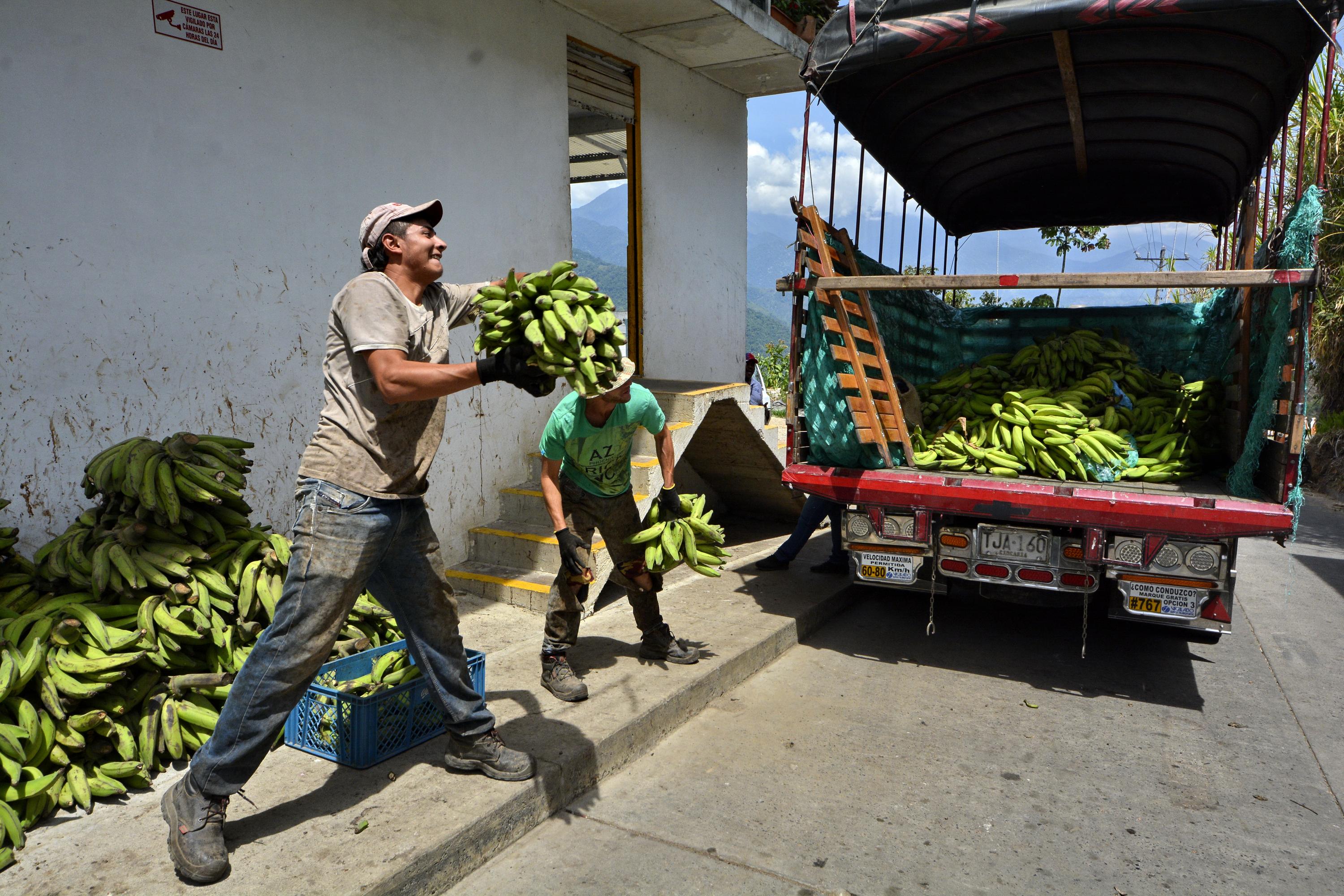 Cómo se vive en El Águila, el municipio más pobre del Valle del Cauca?