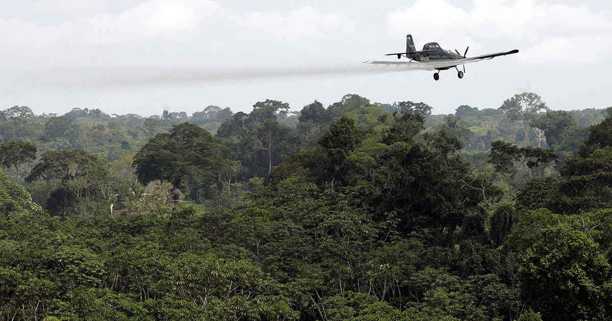 La fumigación aérea con glifosato se encuentra prohibida en Colombia desde 2015 por la Corte Constitucional. Foto: archivo/Semana.  