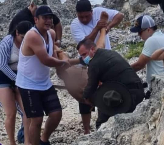 Ataque de tiburón en San Andrés.