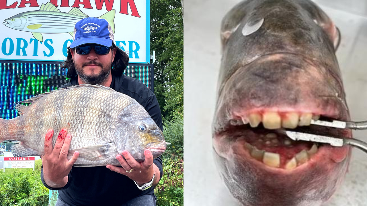 El hombre aseguró sentirse muy feliz por haber capturado a este imponente animal.