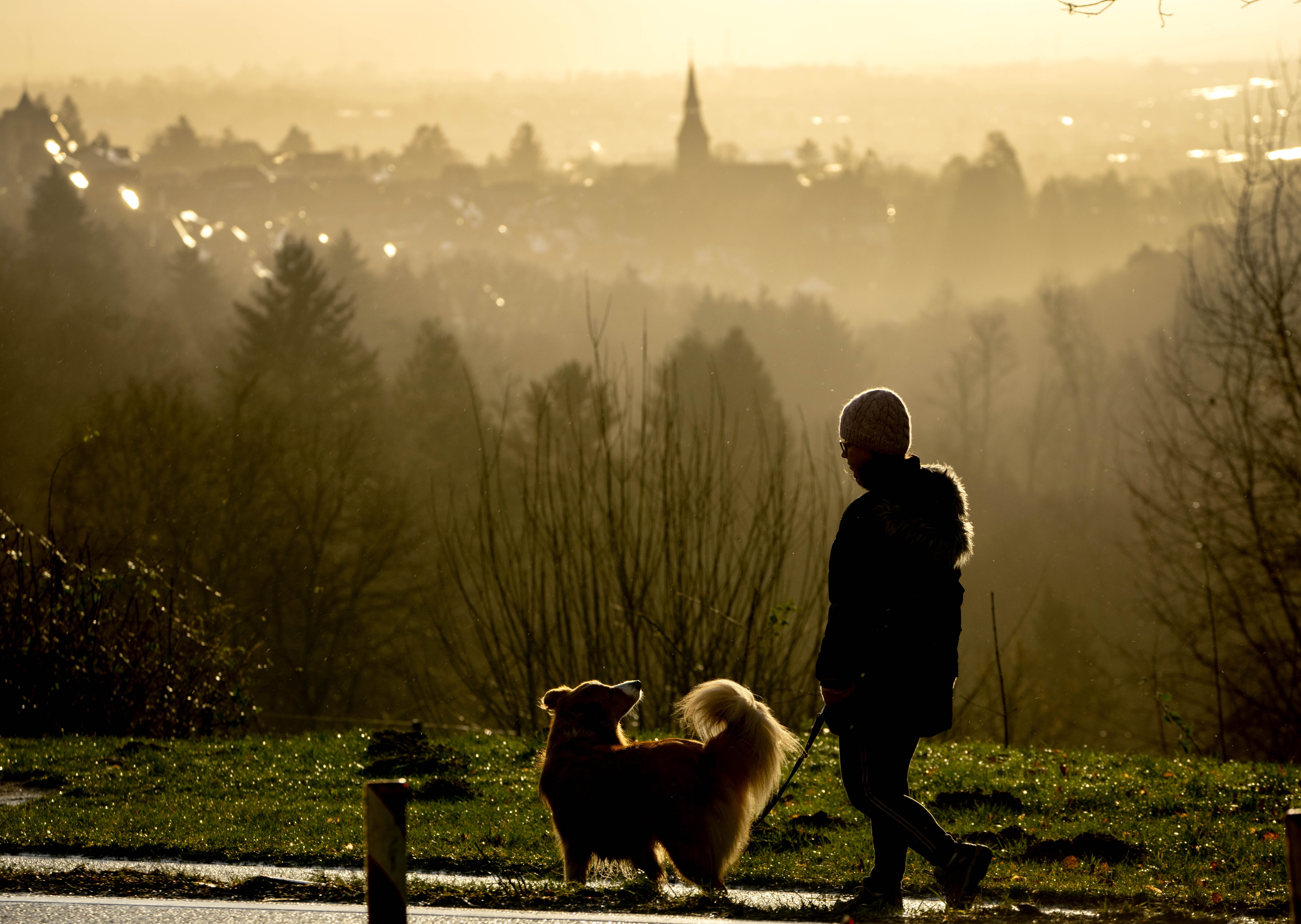 A woman walks her dog above the city of Kronberg, Germany, Monday, Feb. 7, 2022. (AP Photo/Michael Probst)