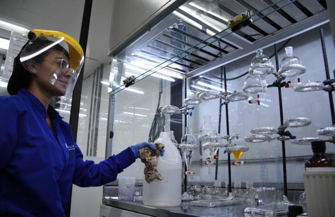 A través de “Fábricas de Productividad y Sostenibilidad”, ya se han atendido 2.355 empresas de 163 municipios de los 32 departamentos.