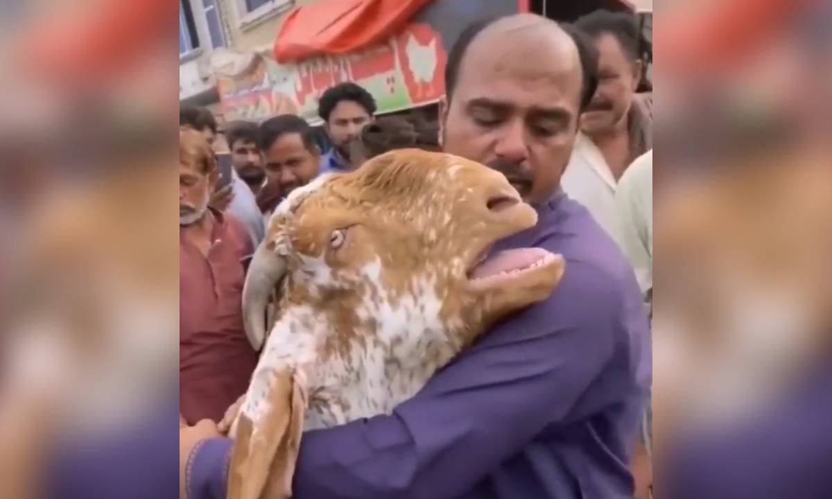 El video circula a través de las redes sociales despertando sorpresa en los internautas, quienes cuestionan que aún, tras la expresión de amor por parte del animal, el dueño lo hubiese vendido.