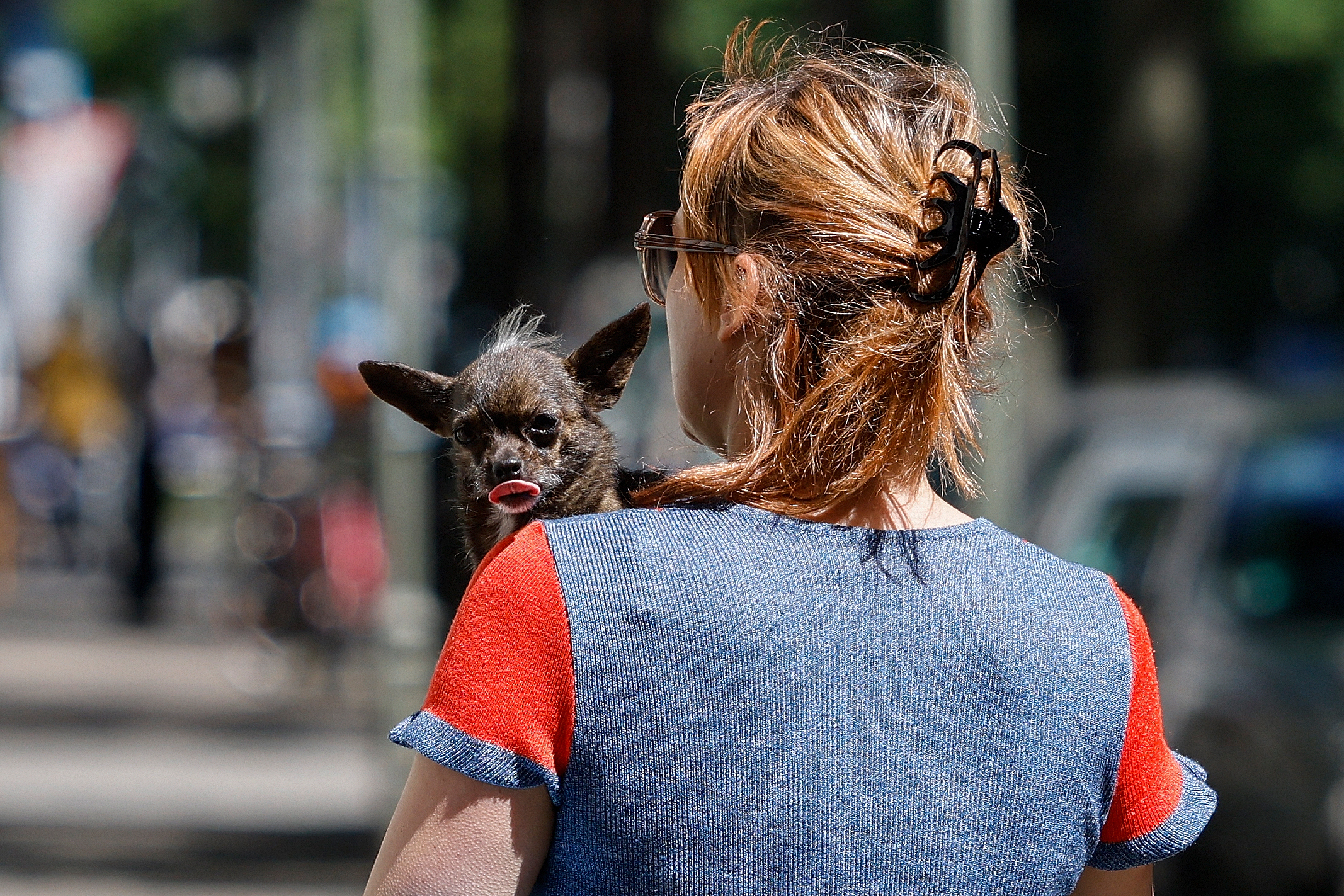 A woman carries a dog on May 31, 2021 as the sun shines in Berlin's Kreuzberg district. (Photo by David GANNON / AFP)