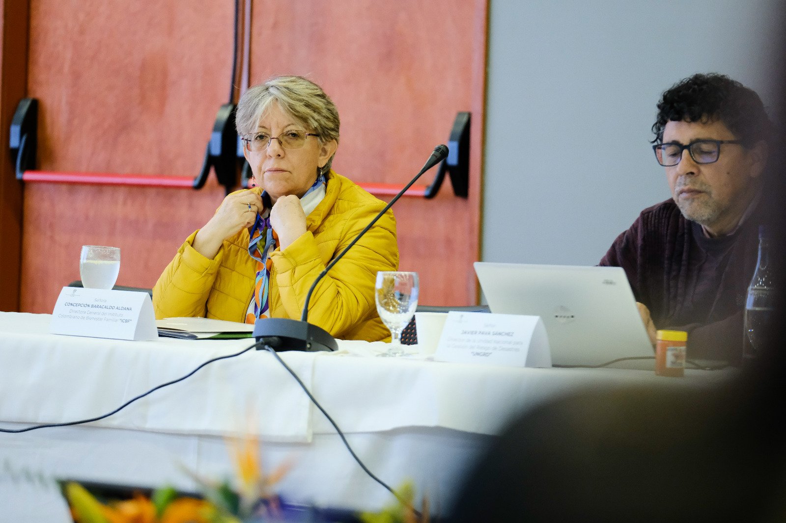 Directora del ICBF, Concepción Baracaldo.