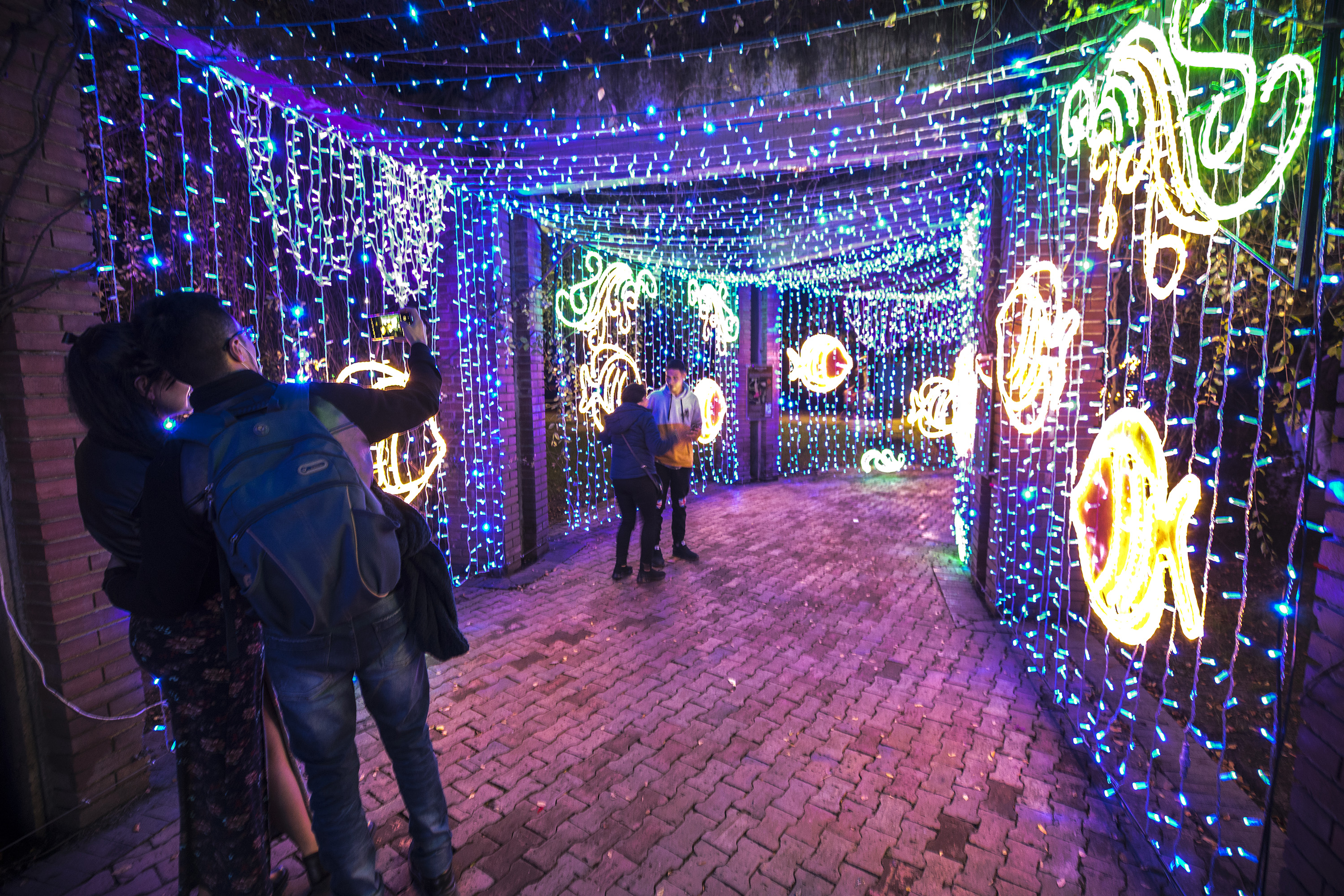 Noche de velitas en Jardin Botanico inicio de navidad