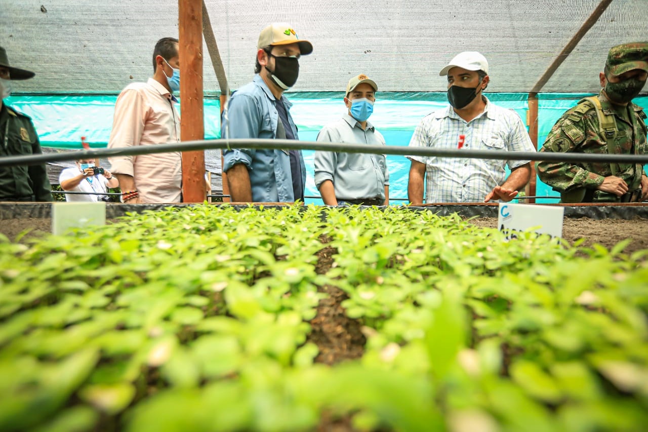 Este megavivero tendrá capacidad para producir 500.000 plántulas al año.