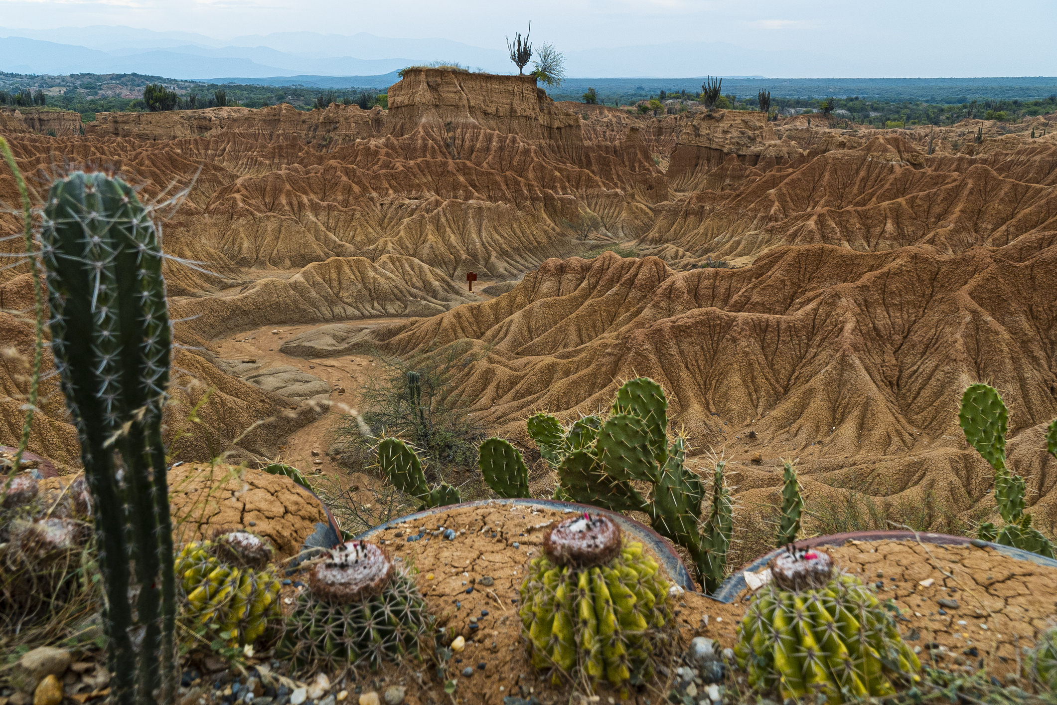 El Desierto de la Tatacoa puede recorrerse en planes de varios días.
