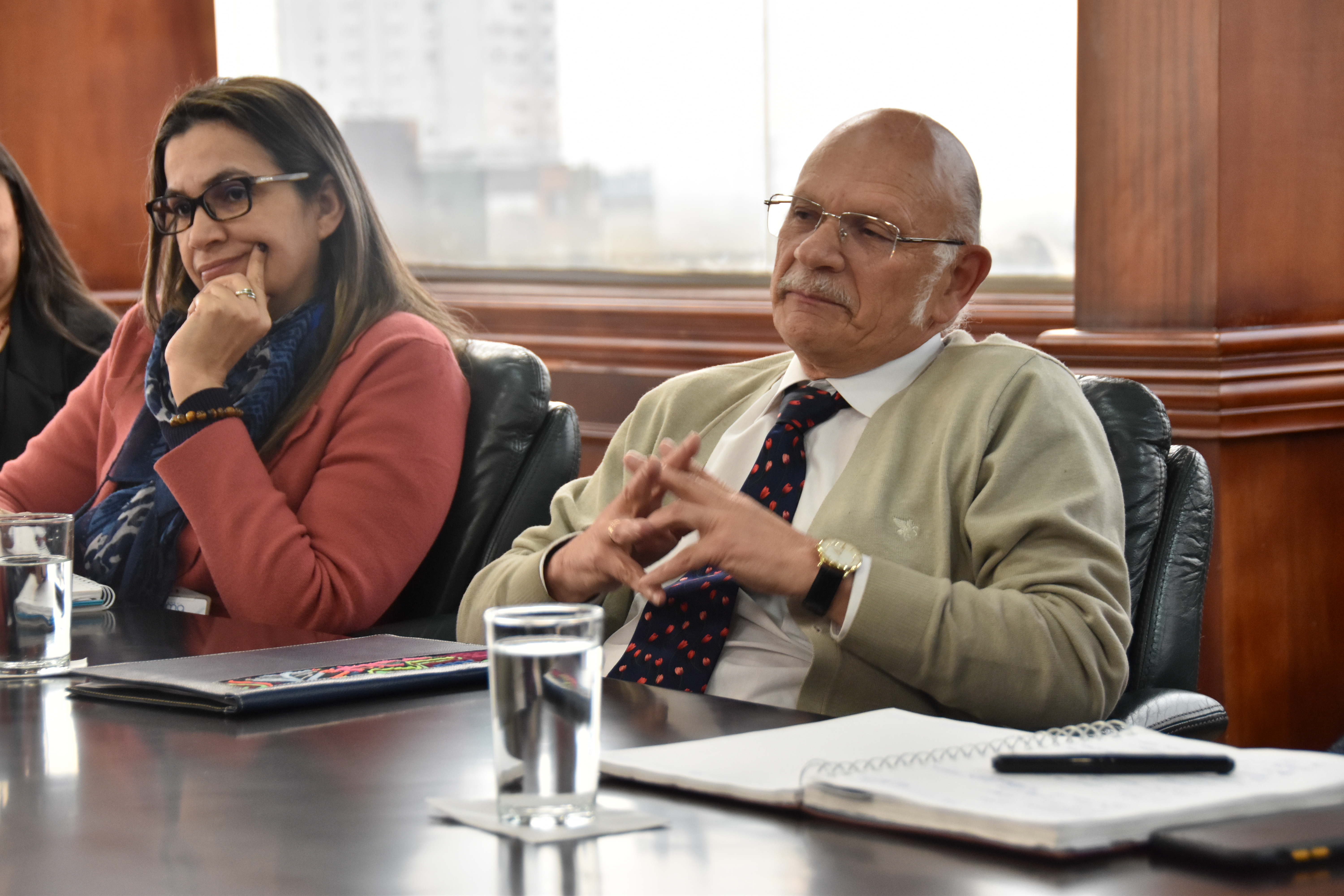 Directora de medicamentos y productos biológicos del Invima, Judith Mestre, y el director General del Invima, Francisco Rossi.