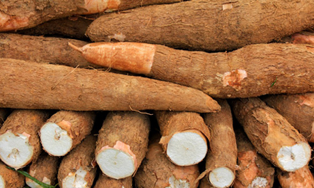 Tomada de http://cocinadeguayana.blogspot.com