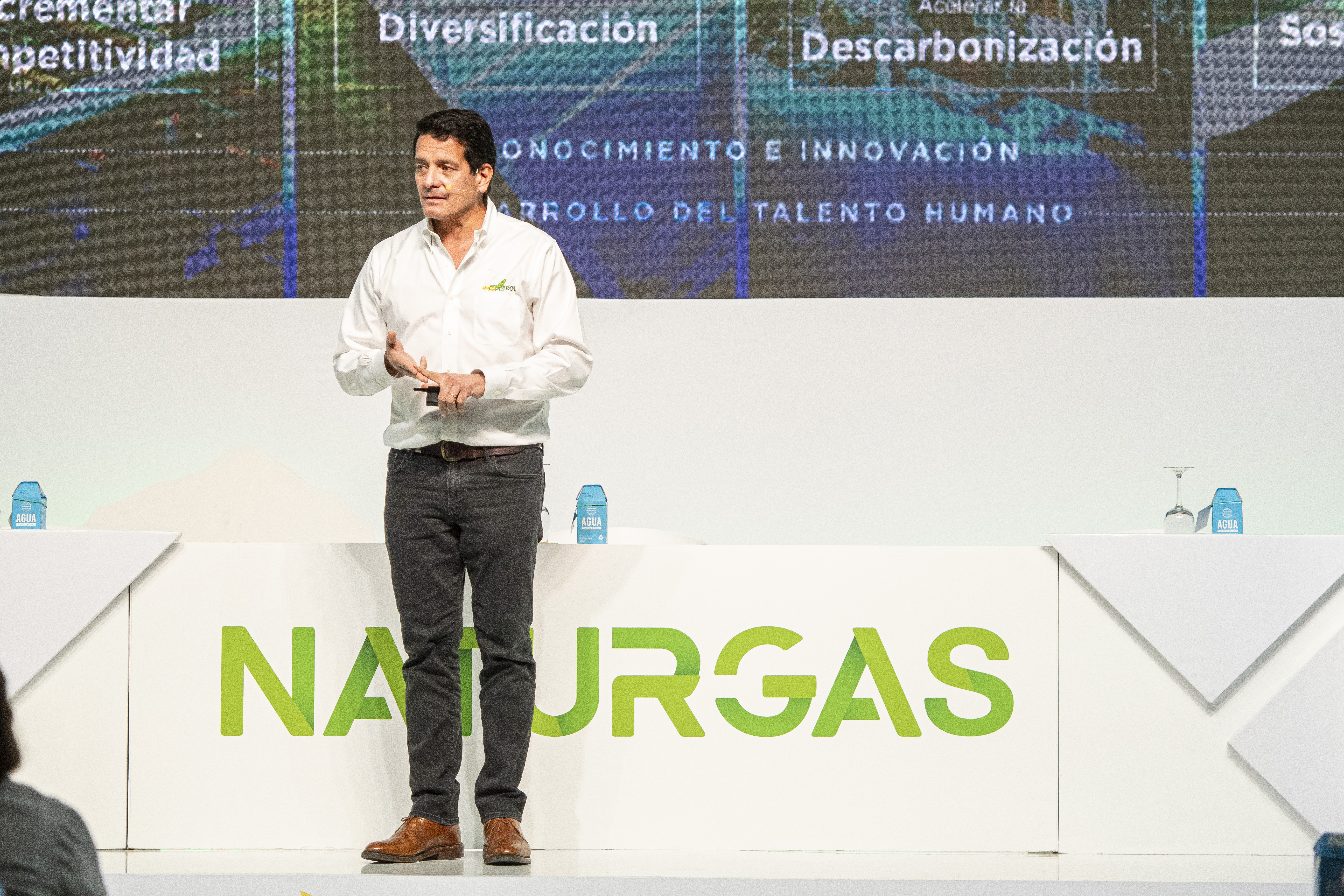 El Presidente de Ecopetrol afirmó que más de un millón de personas en Colombia aún utilizan leña o carbón para cocinar.