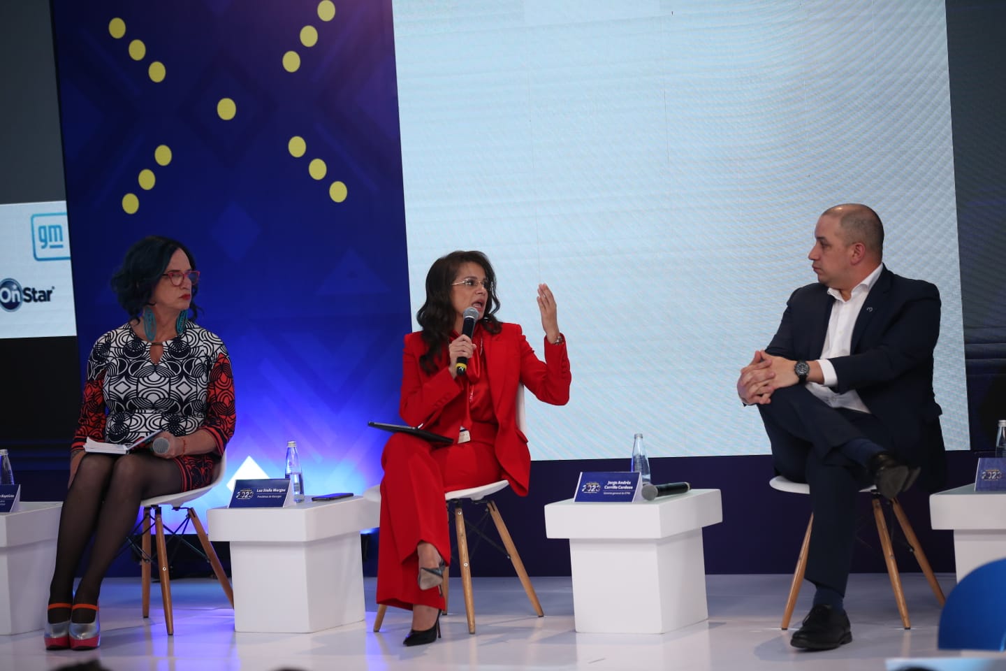 Luz Stella Murgas, presidenta de Naturgas