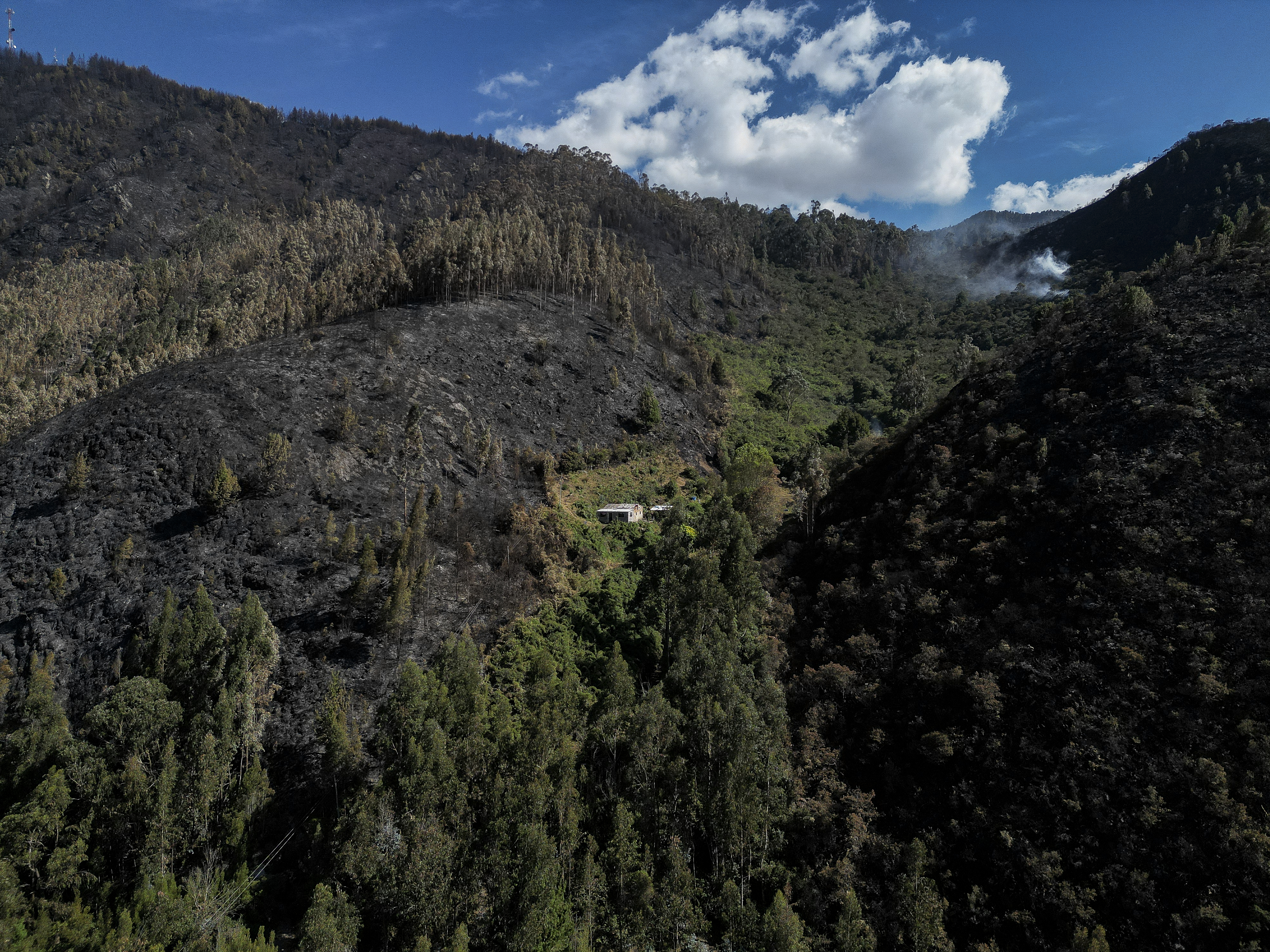 Vegetación devastada por los incendios forestales en Nemocón