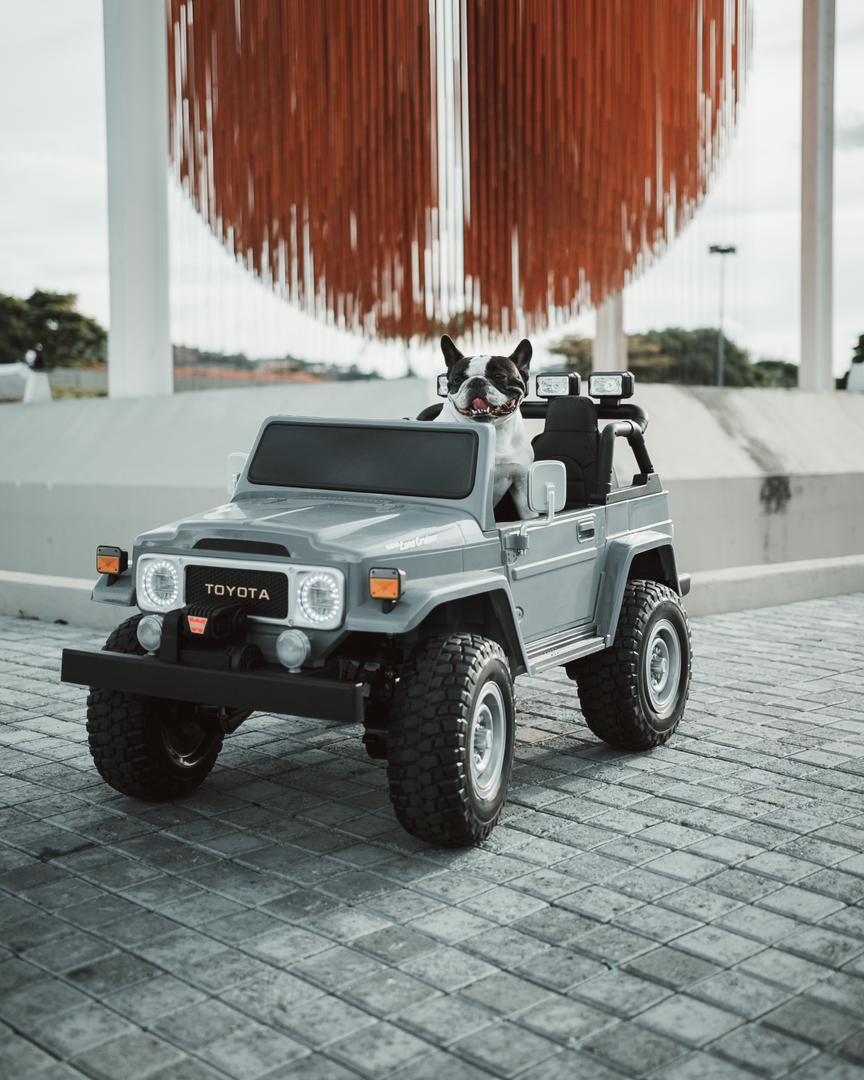 "Un primero de mayo, que estábamos casi que mirando para el techo, dijimos: 'ahora, activemos las redes de Punky y aprovechemos que esos carritos existen a ver qué pasa'. Hoy en día todo pasa en TikTok. Y bueno, el resto es historia, la verdad", afirmó Betancour. Foto: Daril Jimenez @darilgram