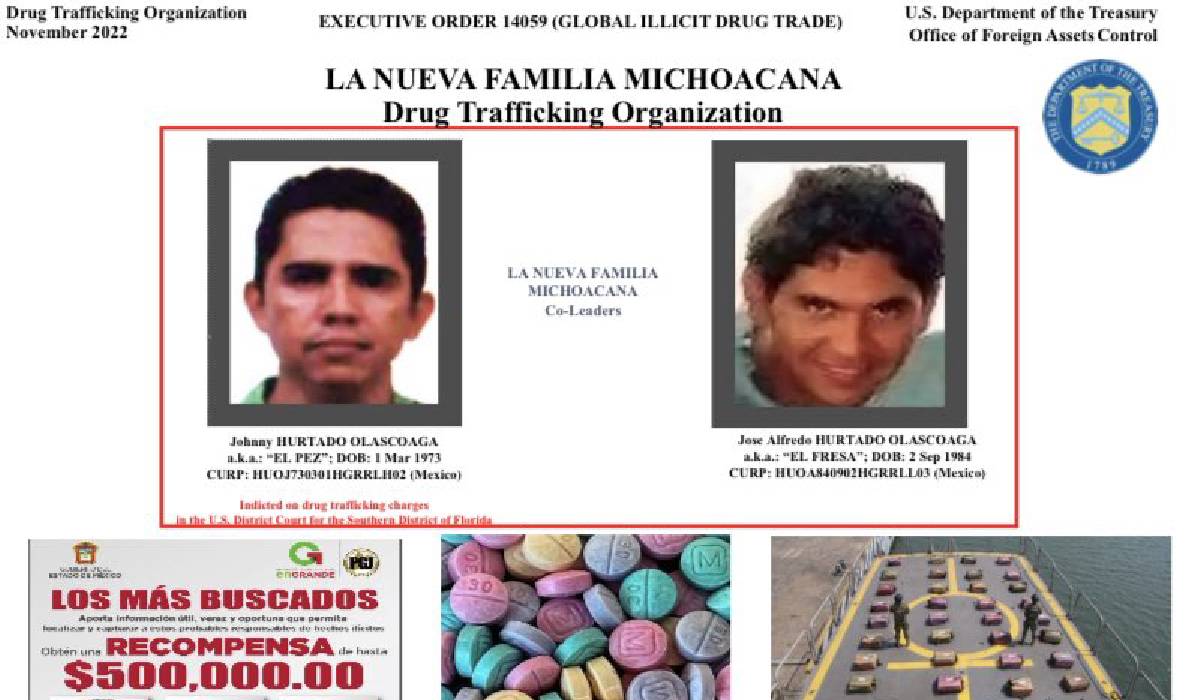 la Nueva Familia Michoacana opera en más de 35 municipios mexicanos en los estados de Michoacán, Guerrero, Morelos y el Estado de México y su economía se basa en extorsión, minería ilícita y extorsión
