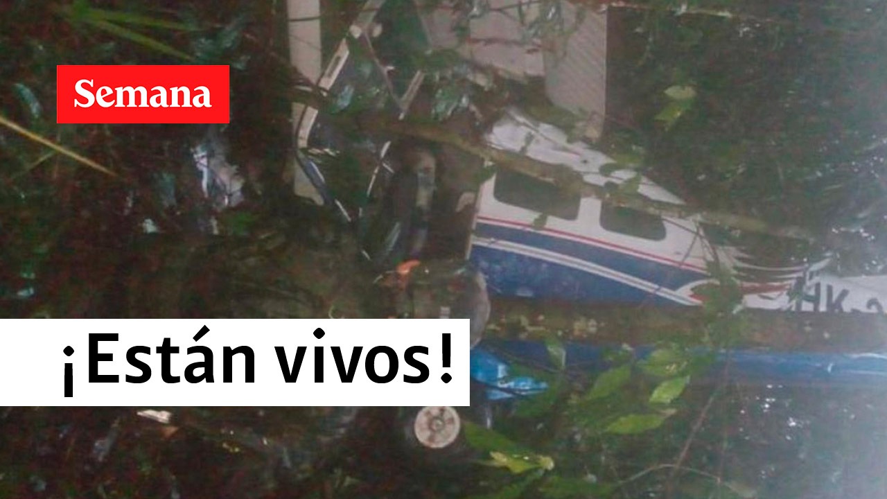 Milagro: Encuentran con vida a cuatro menores de edad en Guaviare