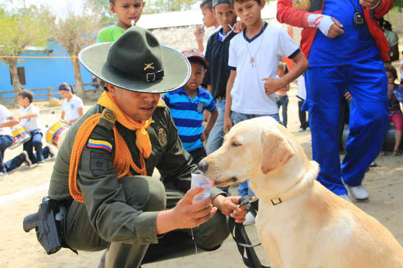 Foto: Policía Nacional de Colombia