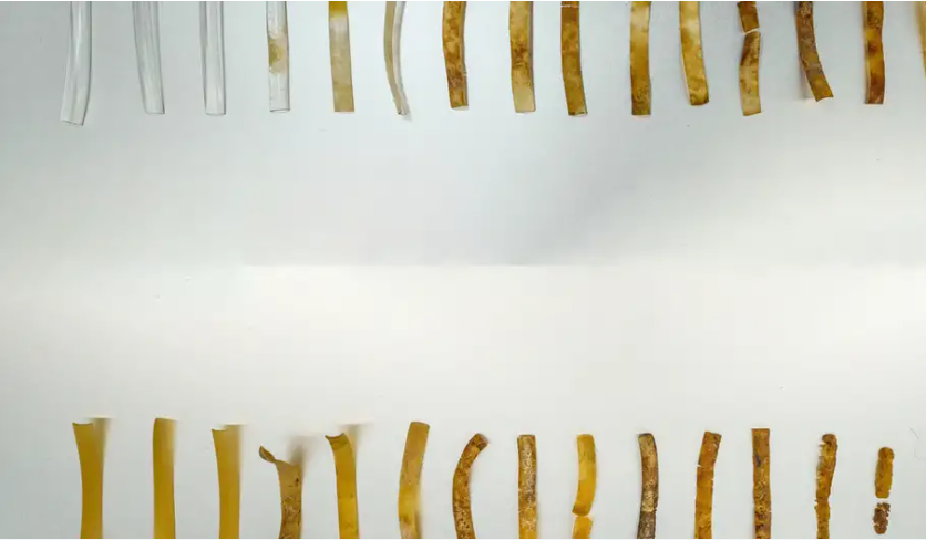 El 'plástico vivo', como lo definen los científicos en un estudio recogido este martes (30.04.2024) por la revista Nature Communications, es un material de poliuretano termoplástico blando que puede ser usado comercialmente para fabricar calzado, alfombrillas, cojines o espumas con memoria.