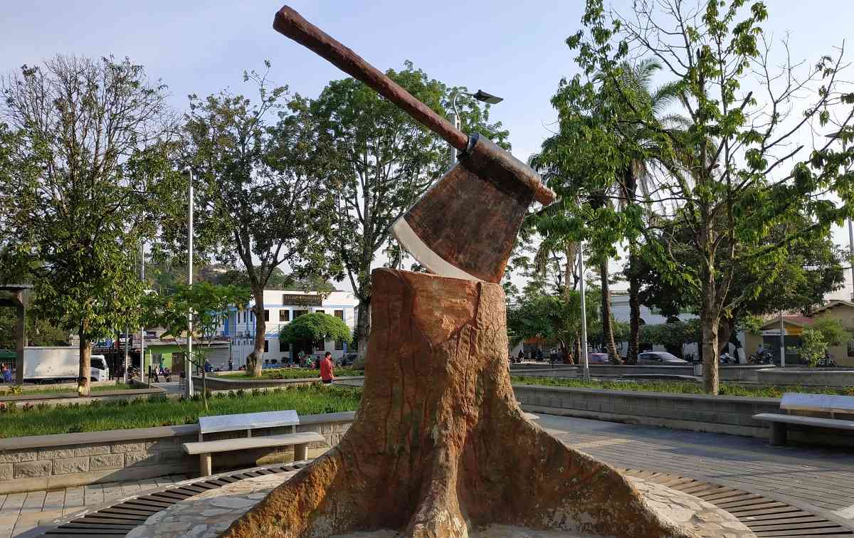 Necesitamos un cambio cultural para dejar de talar”: habitantes de San  Vicente del Caguán