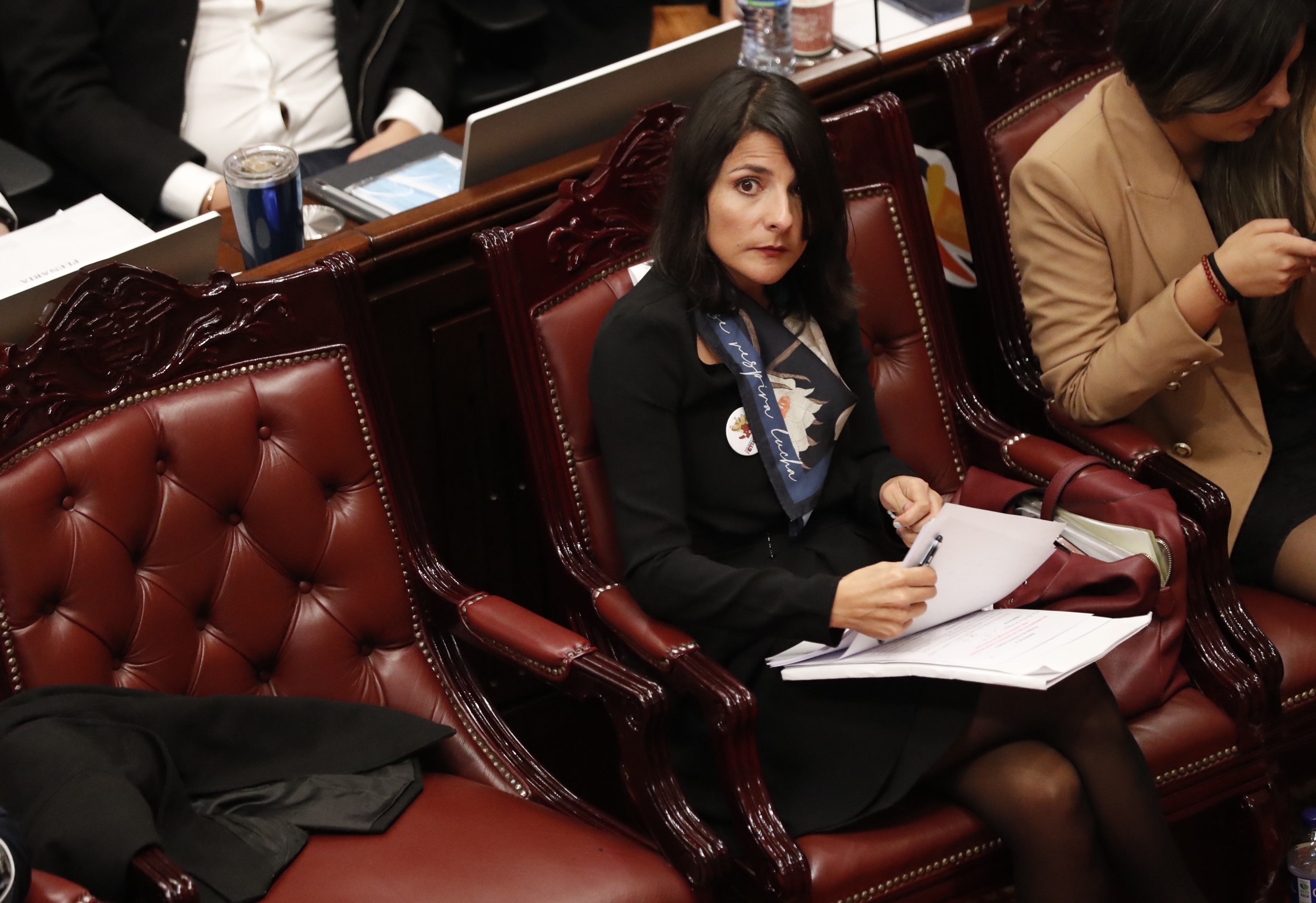 Moción de Censura Ministra de Minas y Energía Irene Vélez en la Cámara de Representantes