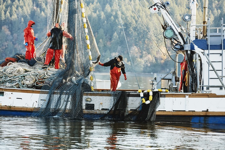 Admiten acción popular que busca suspensión de la pesca industrial