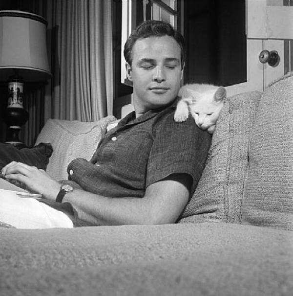 Marlon Brando - Foto: tomada de http://yourcatwasdelicious.tumblr.com