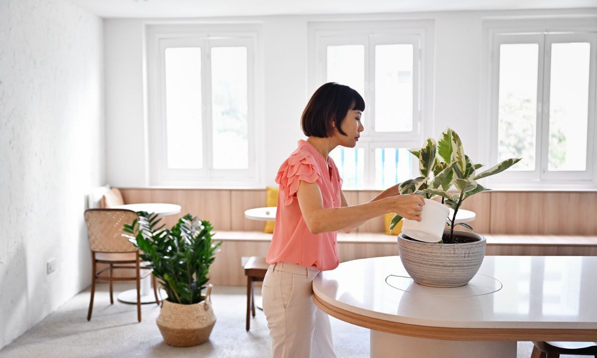 Cosas que no deben faltar en una casa para atraer felicidad