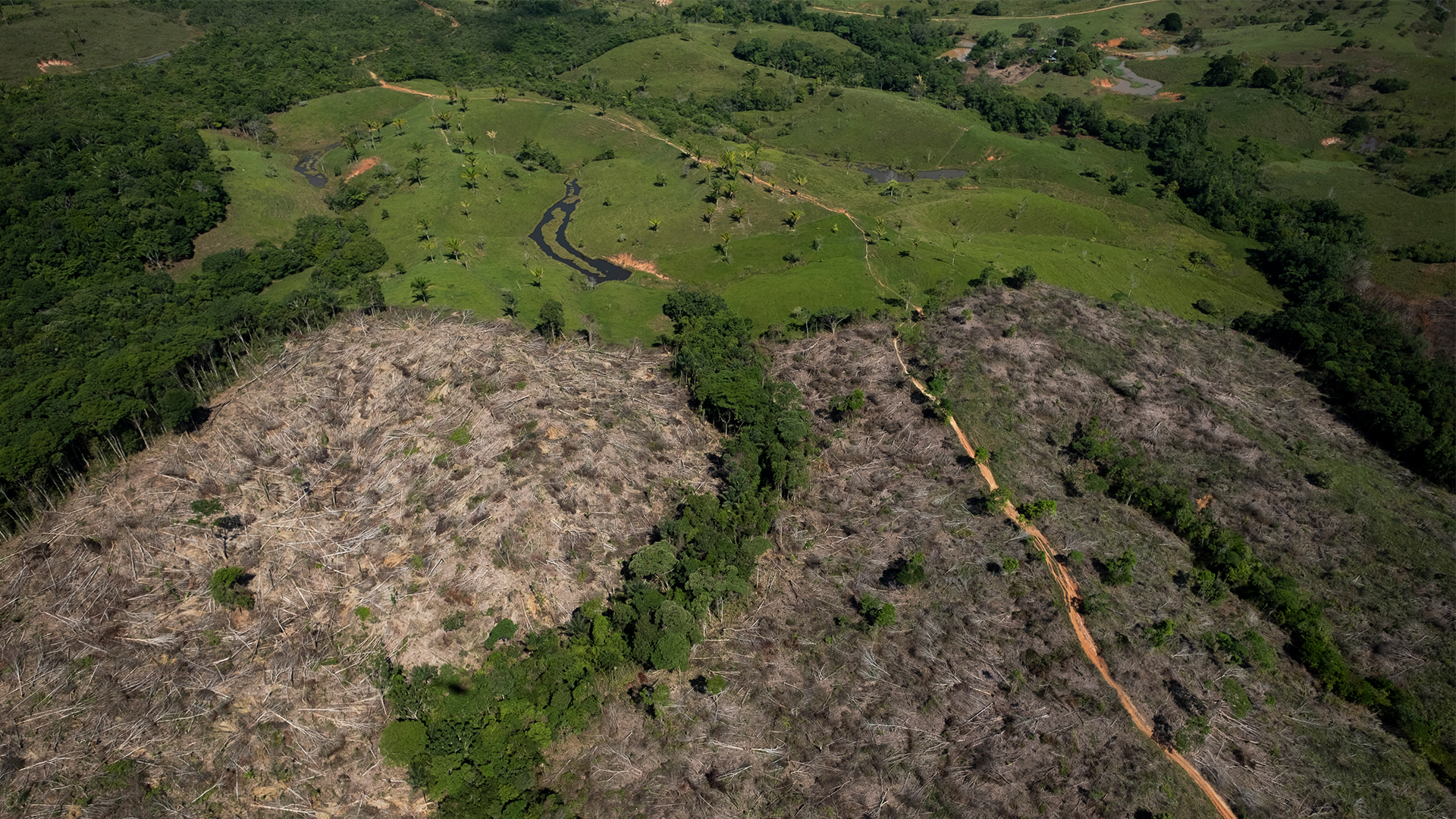 NO USAR, USO EXCLUSIVO MEJOR COLOMBIA, Especial Minambiente, Restauración