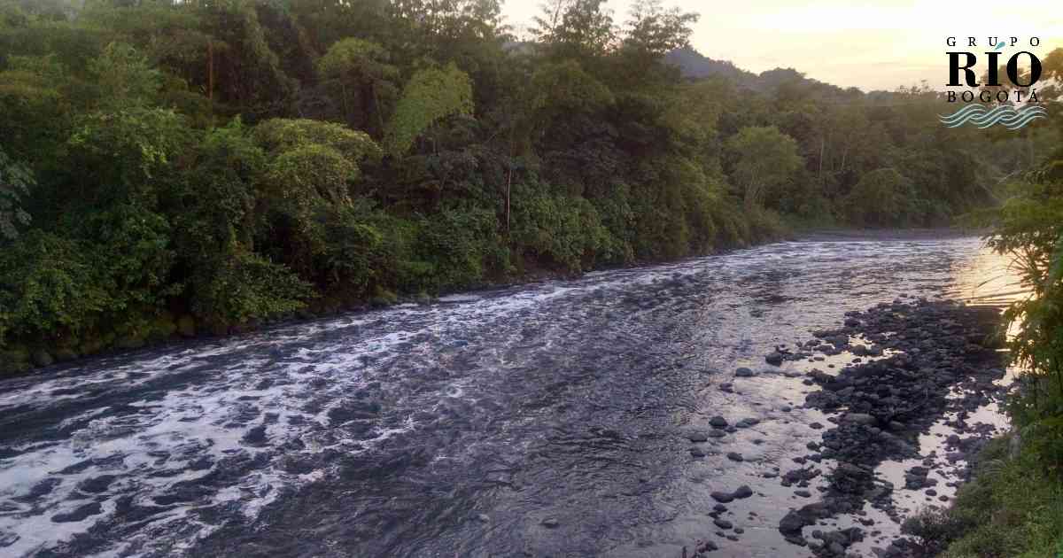 En este afluente hay una gran variedad de flora y fauna. Foto: PDD. 