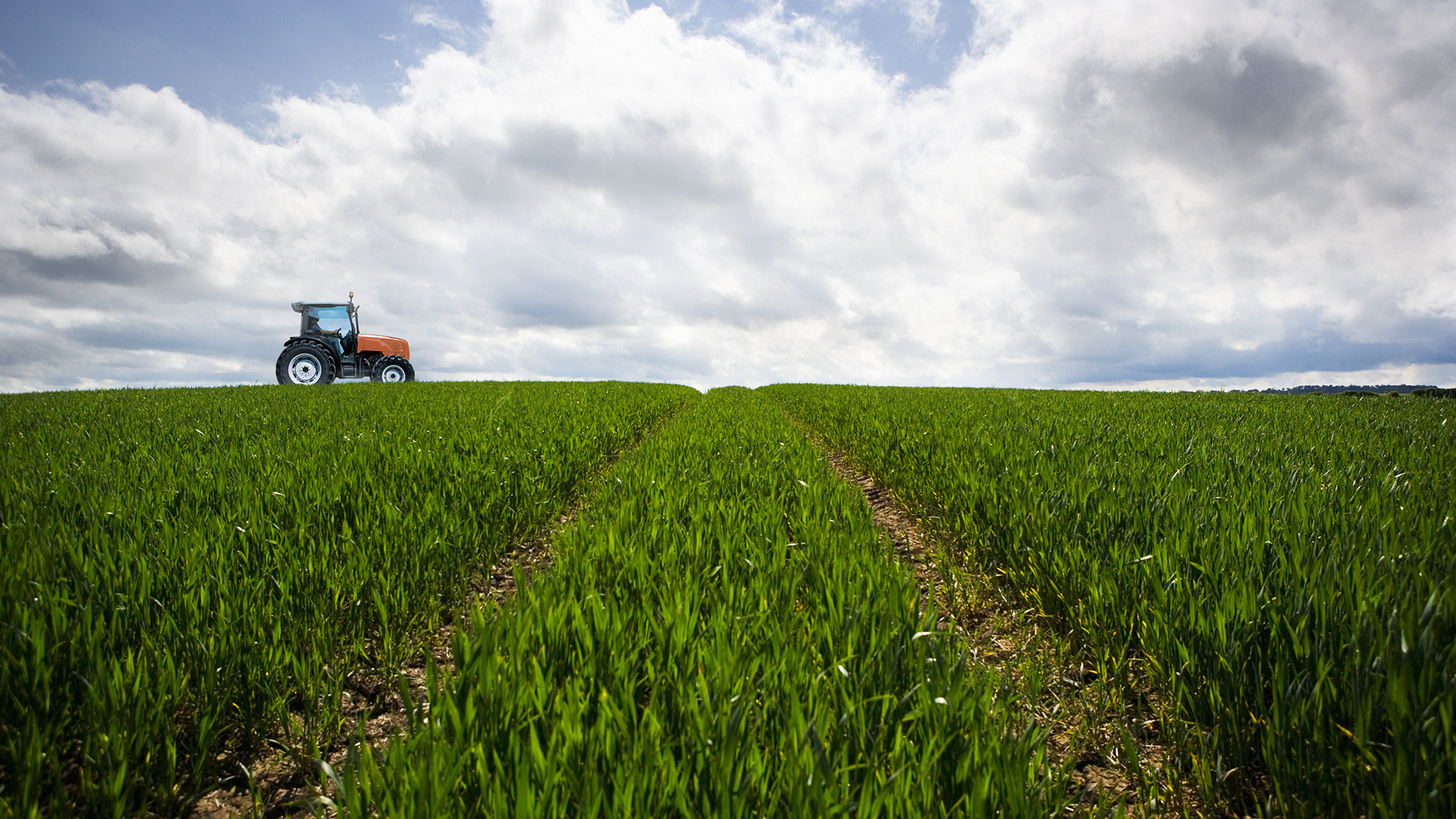 Tractor conduciendo a lo largo de campo de cultivo, vista lateral