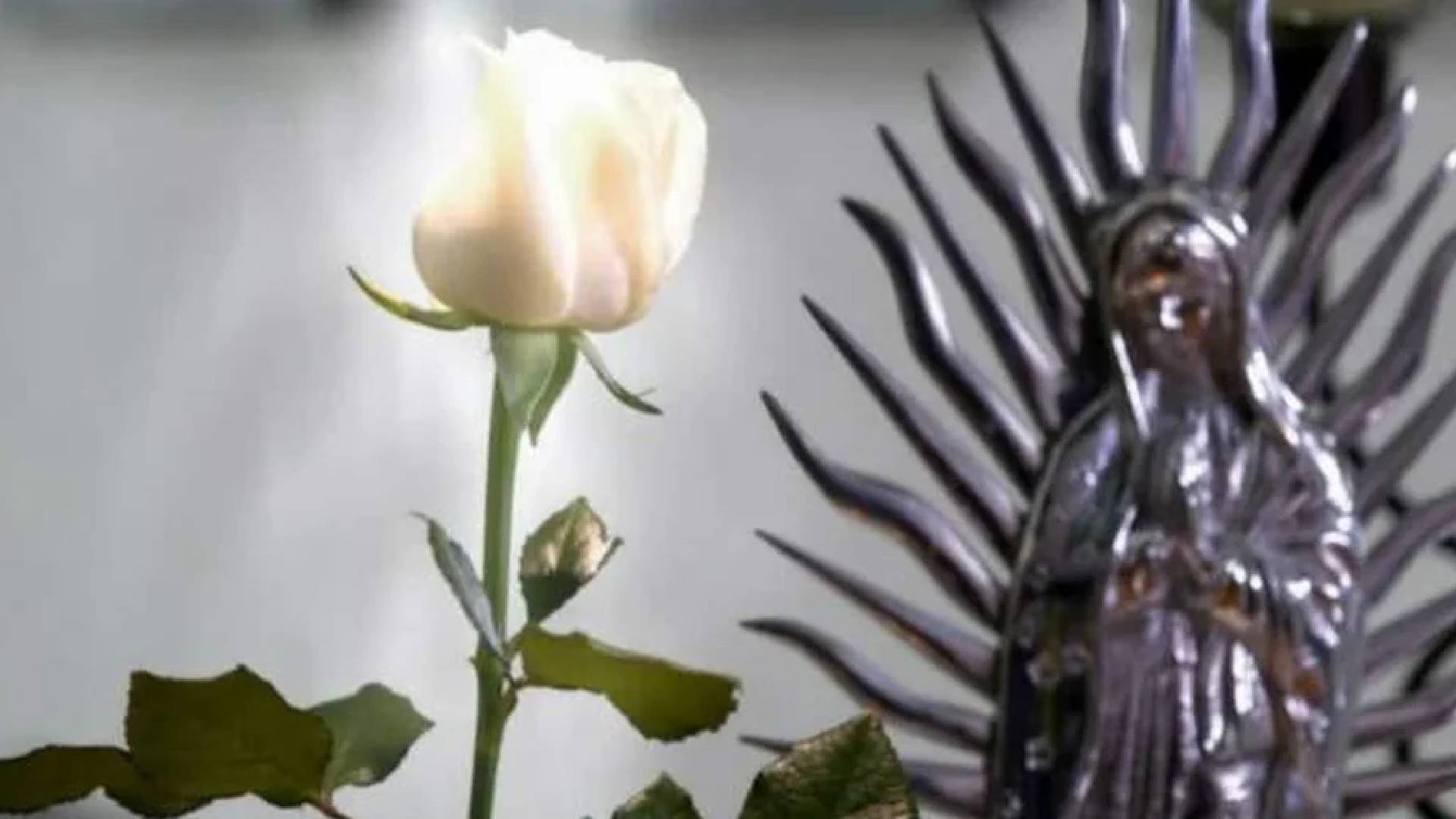 Cuánto gana un actor por participar en un capítulo de la Rosa de Guadalupe?