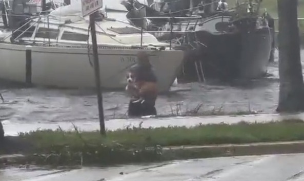 Este hombre corrió a un bote para salvar al perro.