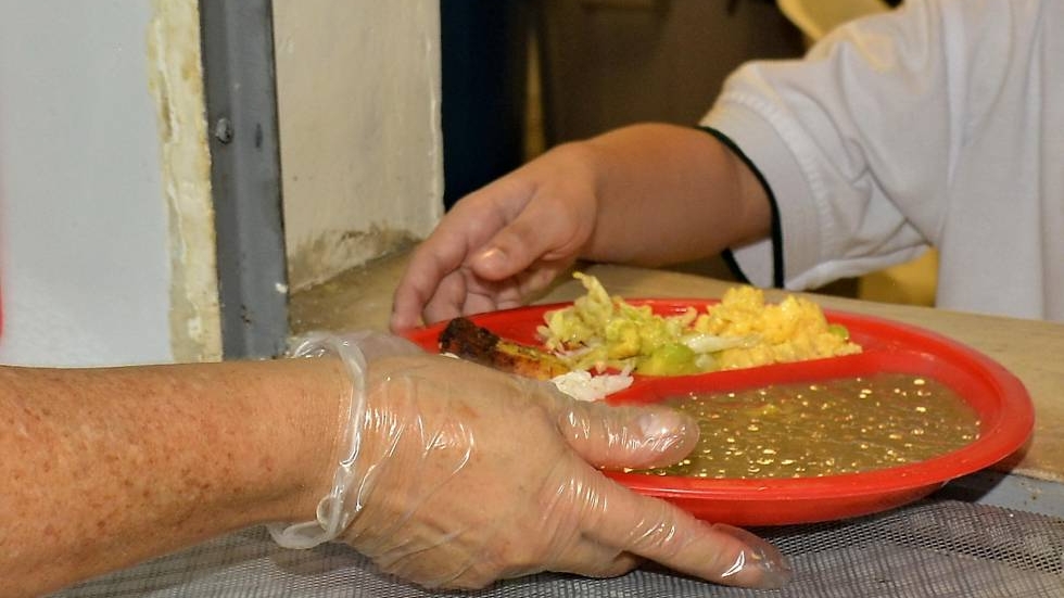 En algunas instituciones educativas públicas de la ciudad el PAE se entrega bajo la modalidad de almuerzo, mientras que en otras se dan porciones de alimentos industrializados.